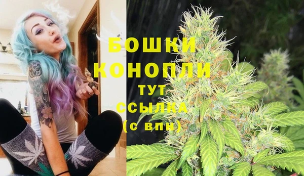 каннабис Арсеньев