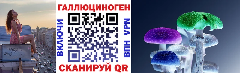 блэк спрут онион  купить наркоту  Очёр  Псилоцибиновые грибы GOLDEN TEACHER 